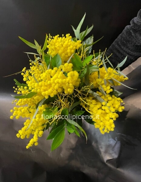 Bouquet di sola mimosa